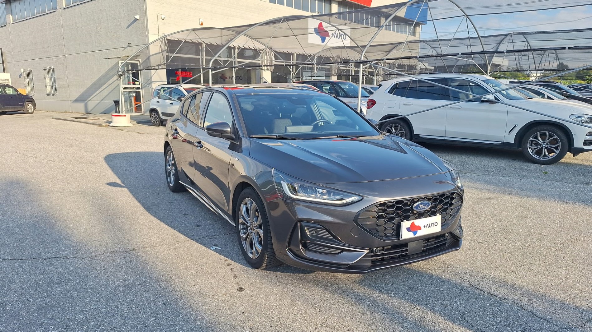 FORD FOCUS 5 PORTE 1.5 ECOBLUE 115CV ST LINE  !!!!!