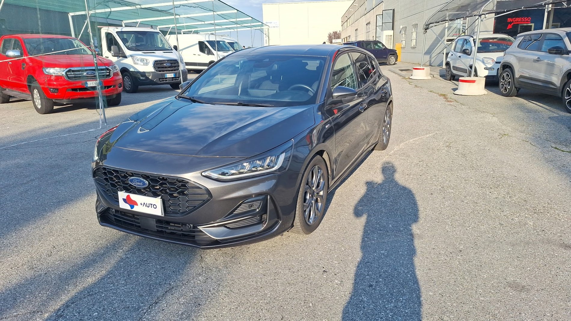FORD FOCUS 5 PORTE 1.5 ECOBLUE 115CV ST LINE  !!!!!