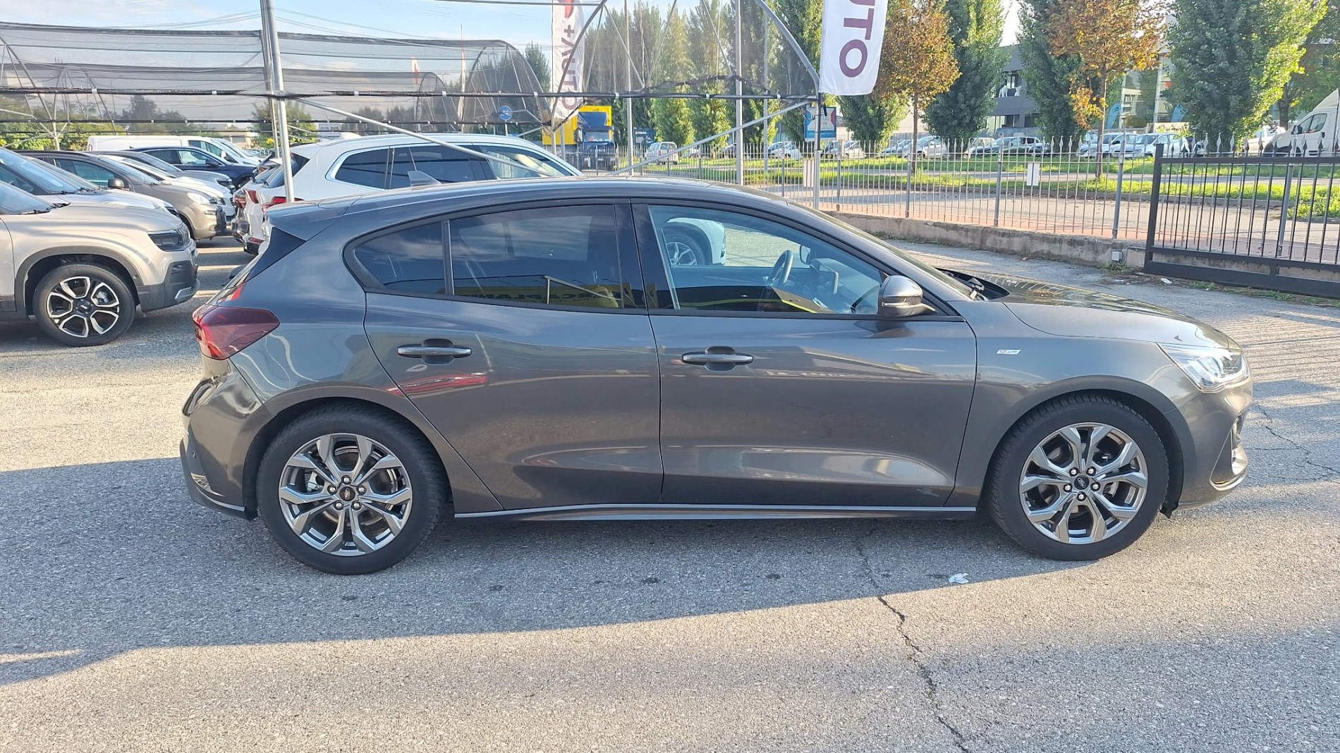 FORD FOCUS 5 PORTE 1.5 ECOBLUE 115CV ST LINE  !!!!!
