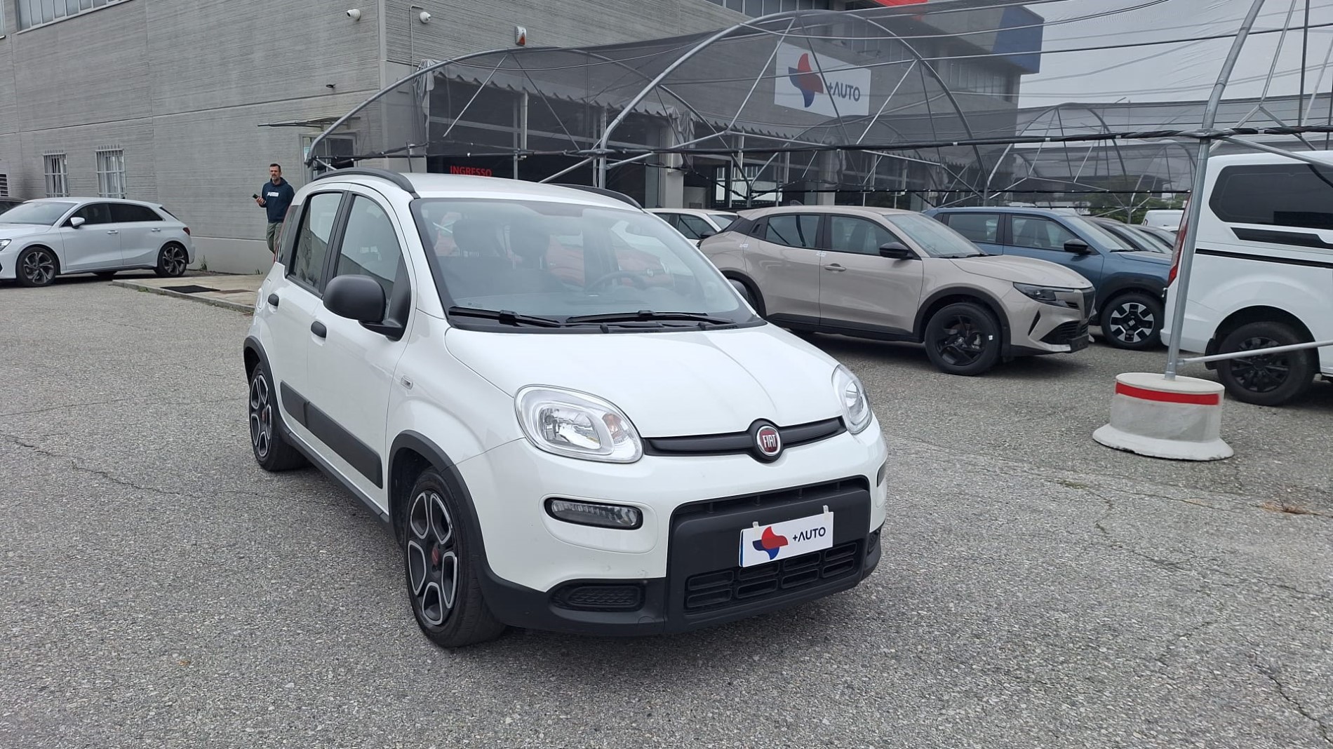 FIAT PANDA 1.0 HYBRID CITY LIFE
